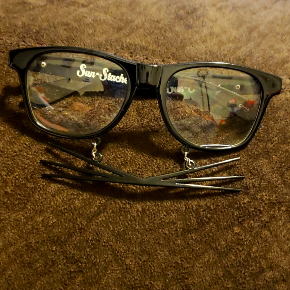 Black cat glasses
